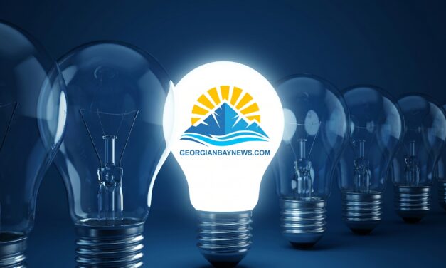 💡  The Case for a Regional Services Corporation | Ron Shulman