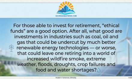 LNG poses risky bet for pension funds