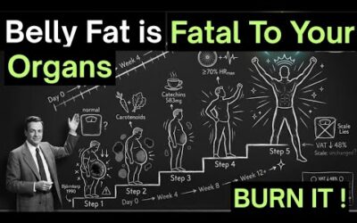 ♥️ Fastest Scientific Way to Shrink Your Visceral Fat