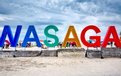 ⛱️ Wasaga Beach Seeks Partners for Signature After-Dark Light Attractions