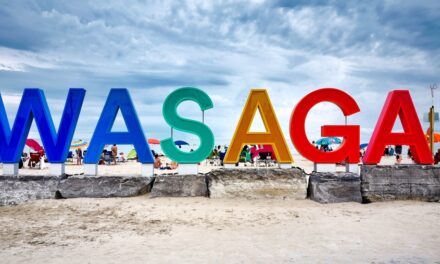 ⛱️  Wasaga Beach Seeks Partners for Signature After-Dark Light Attractions
