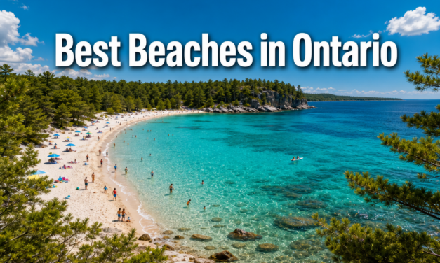 Best Beaches in Ontario: Great Lakes, Inland Lakes, and Family-Friendly Summer Escapes