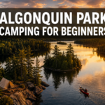 🛶  Algonquin Park Camping for Beginners: Reservations, Gear, and First-Time Itineraries