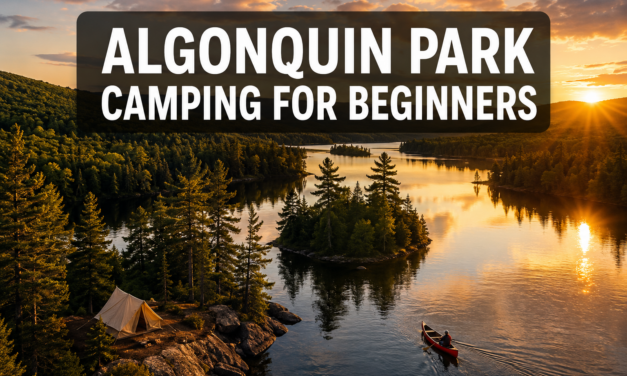 🛶  Algonquin Park Camping for Beginners: Reservations, Gear, and First-Time Itineraries