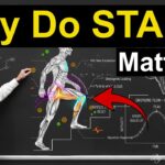 🚶‍♀️ Why Stairs CHANGE Your Legs and Knees Faster Than Walking After 60?