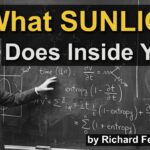 ☀️  Why Sunlight Is The Most Powerful Drug You Take Every Day