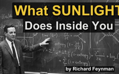☀️ Why Sunlight Is The Most Powerful Drug You Take Every Day