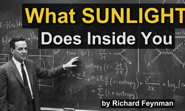 ☀️  Why Sunlight Is The Most Powerful Drug You Take Every Day