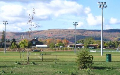 ⚽️  Letter: Poor Maintenance and Uneven Surfaces at Fisher Fields