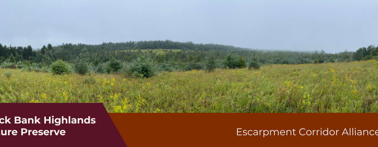 ❤️  Escarpment Corridor Alliance Secures Second Nature Preserve | Black Bank Highlands