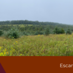 ❤️  Escarpment Corridor Alliance Secures Second Nature Preserve | Black Bank Highlands