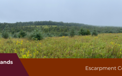 ❤️  Escarpment Corridor Alliance Secures Second Nature Preserve | Black Bank Highlands