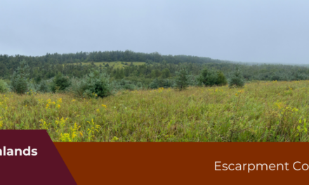 โค๏ธ Escarpment Corridor Alliance Secures Second Nature Preserve | Black Bank Highlands