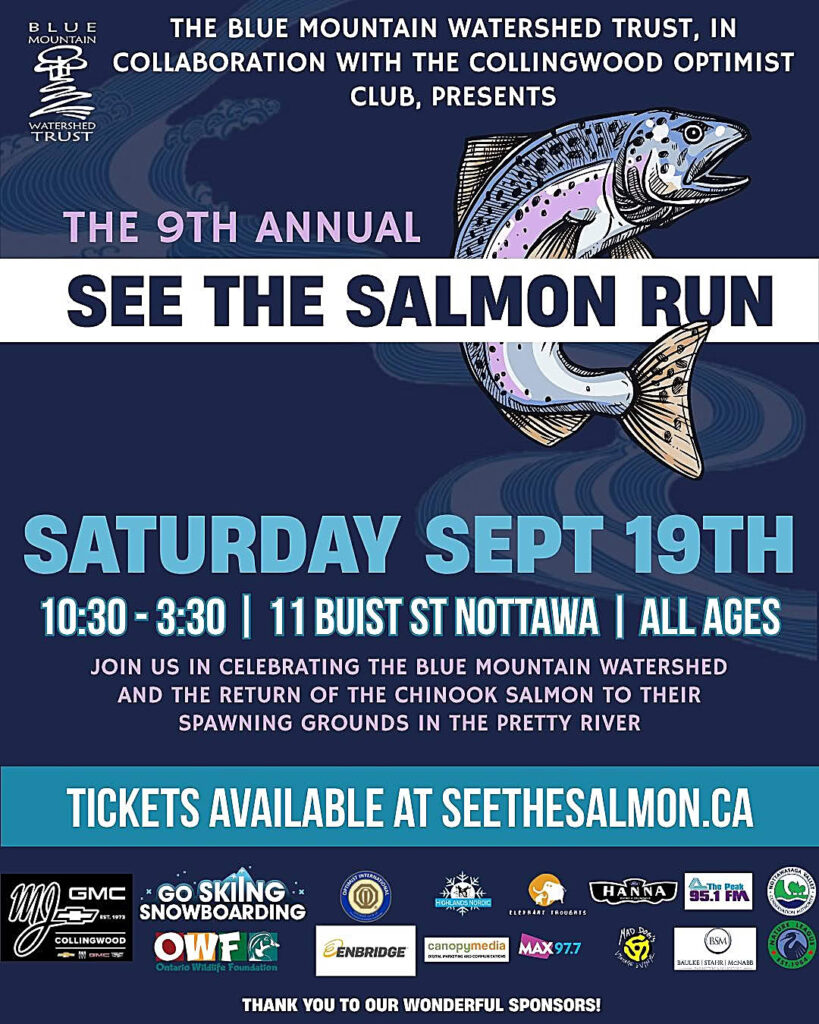 salmon-run-2026