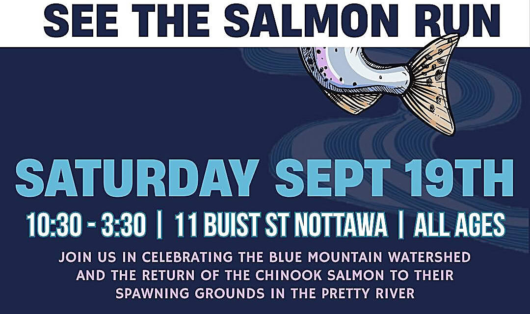 ❤️  Still thinking about coming to See the Salmon 2026 | Saturday, September 19th