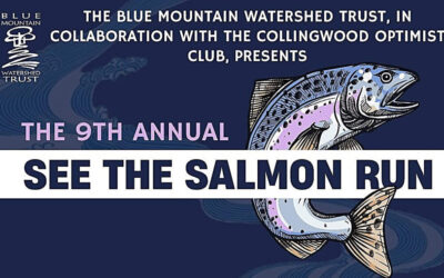 β€οΈ Still thinking about coming to See the Salmon 2026 | Saturday, September 19th