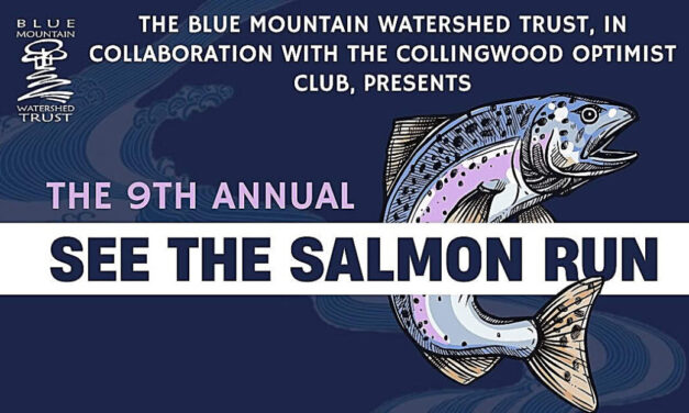 ❤️  Still thinking about coming to See the Salmon 2026 | Saturday, September 19th