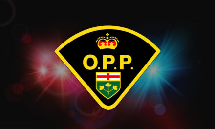 THREE YOUTH FACING CHARGES AFTER ASSAULT INVESTIGATION