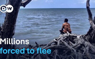 💦  Climate change and displacement – How people are being forced to flee their homes | DW Documentary