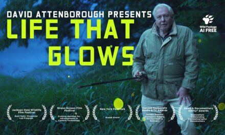🐸  David Attenborough Shines a Light on Glowing Animals | Nature Documentary