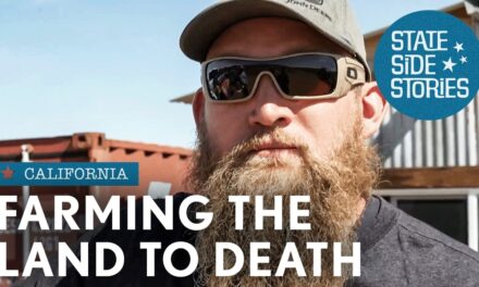 🐮 Feeding America At Any Cost: Inside The Dark World Of American Mega Farms