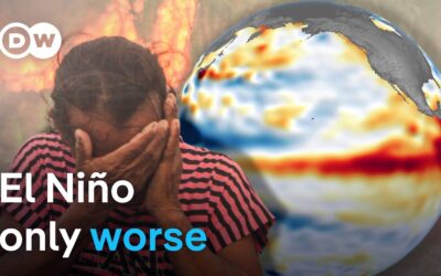 🌎  How climate change is teaming up with ‘Super El Niño’ | DW News