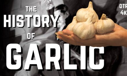 🧄 How Garlic Took Over the (Culinary) World