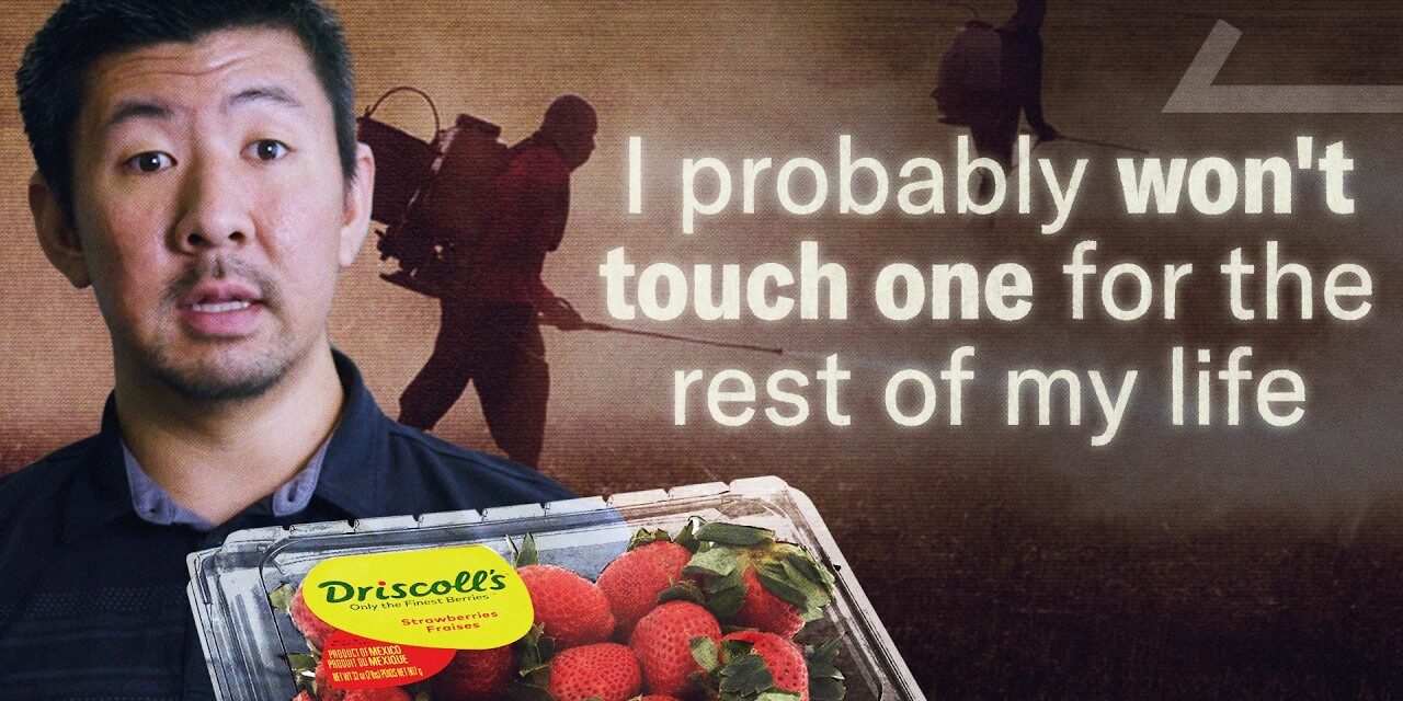 🍓 I Tracked Down the Company Ruining Fruit | More Perfect Union