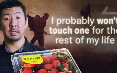 🍓  I Tracked Down the Company Ruining Fruit | More Perfect Union