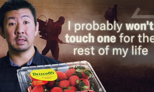 🍓  I Tracked Down the Company Ruining Fruit | More Perfect Union