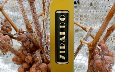 🇨🇦  ZIRALDO ICEWINE FEATURED ON LUFTANSA AIRLINES | georgianbaynews.com