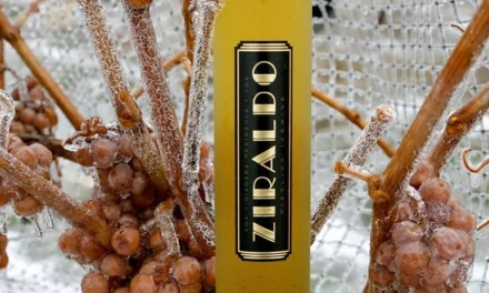 🇨🇦  ZIRALDO ICEWINE FEATURED ON LUFTANSA AIRLINES | georgianbaynews.com