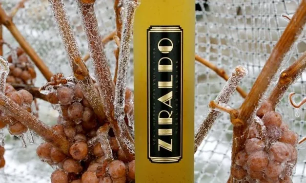 🇨🇦  ZIRALDO ICEWINE FEATURED ON LUFTANSA AIRLINES | georgianbaynews.com