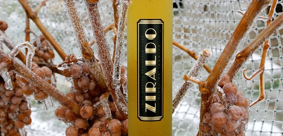 🇨🇦 ZIRALDO ICEWINE FEATURED ON LUFTANSA AIRLINES | georgianbaynews.com