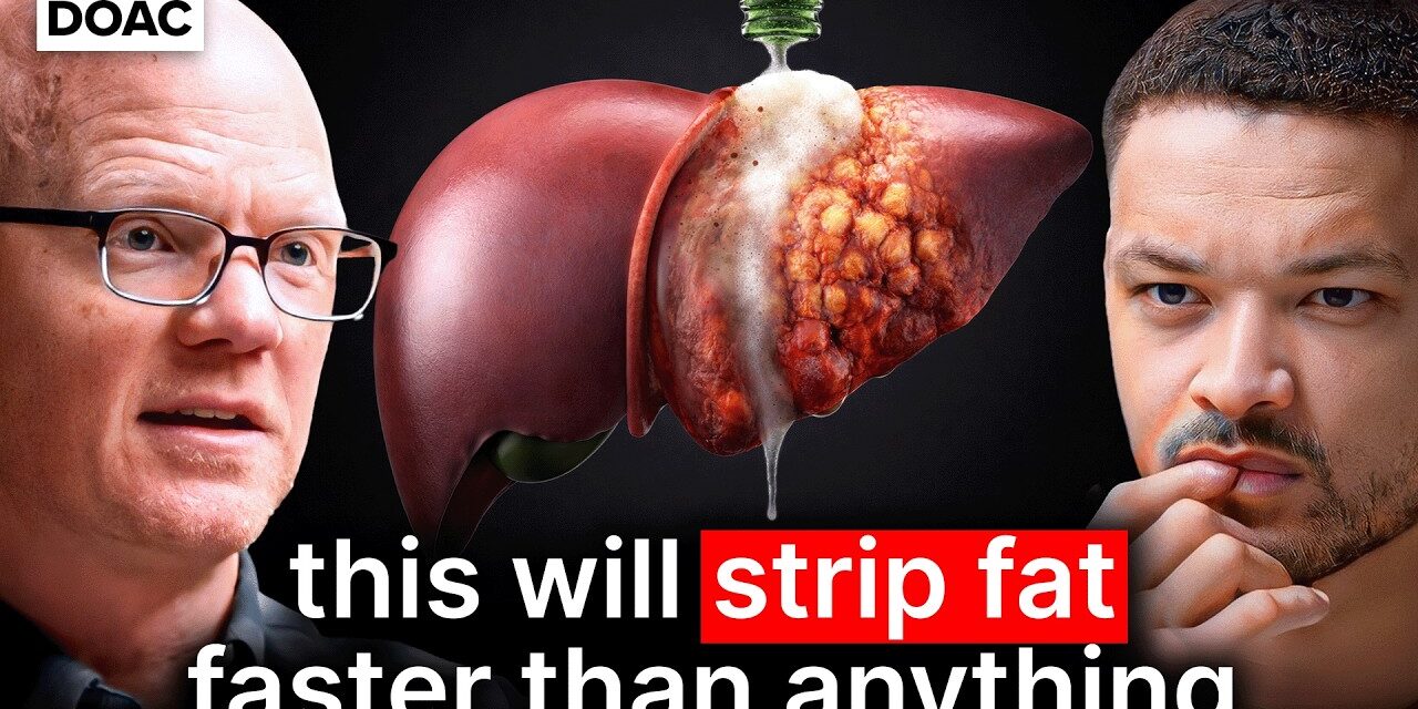 🚀  Insulin Expert: How To ‘Drain’ Your Liver of Fat (Do This!)