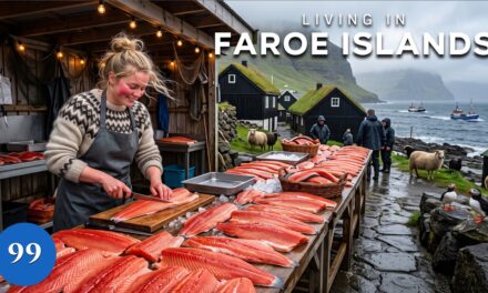 🏝️  Living in the Faroe Islands | How People Live Where Trees Cannot Grow | 4K