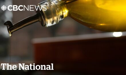 🫒  MANY olive oils are mixed with LOWER VALUE oil, CFIA finds