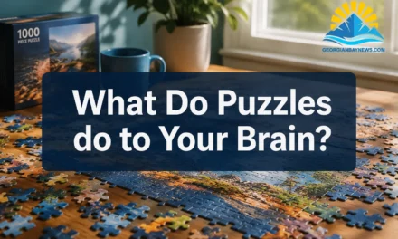 🧩  What Do Puzzles do to Your Brain? A 2026 Guide to Cognitive Fitness | georgianbaynews.com