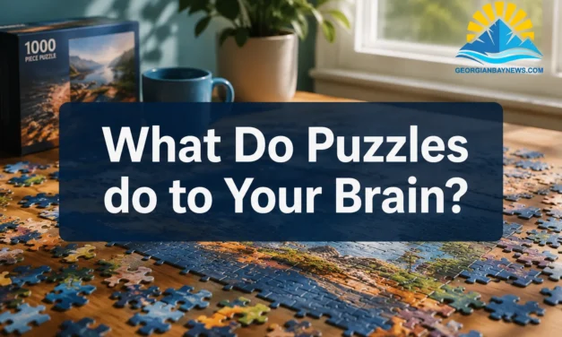 🧩  What Do Puzzles do to Your Brain? A 2026 Guide to Cognitive Fitness | georgianbaynews.com
