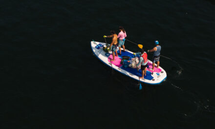 Community Comes Together for Harbour Clean-Up and Waterfront Stewardship Initiatives