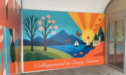 New Public Artworks Bring Creativity to Collingwood’s Community Spaces