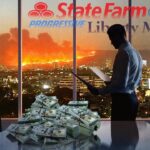🎯  We Uncovered Where Your Insurance Payments Are Really Going