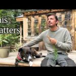 ✅  Why Living With Less Made Me Happier | Anders Boisen