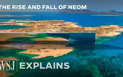 🌎  Why the World’s Largest Megaproject Collapsed | The Wall Street Journal