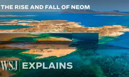 🌎  Why the World’s Largest Megaproject Collapsed | The Wall Street Journal