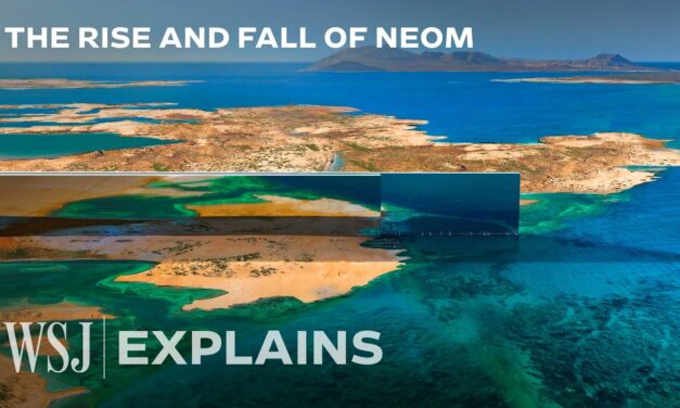 🌎  Why the World’s Largest Megaproject Collapsed | The Wall Street Journal