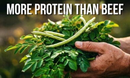 🌱 16 Plants With MORE Protein Than Beef (You’re Eating #9 Wrong)
