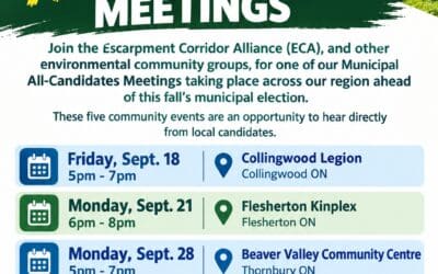 ✅  Municipal Election Special Edition | All-Candidates Meetings | The Escarpment Corridor Alliance (ECA) 