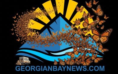 🦋 Help butterflies flutter, NOT FADE | 🇨🇦 georgianbaynews.com
