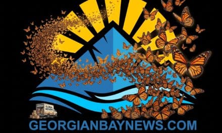 🦋 Help butterflies flutter, NOT FADE | 🇨🇦 georgianbaynews.com